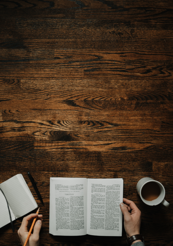 35+ Best Law of Attraction Books to Manifest Your Desires