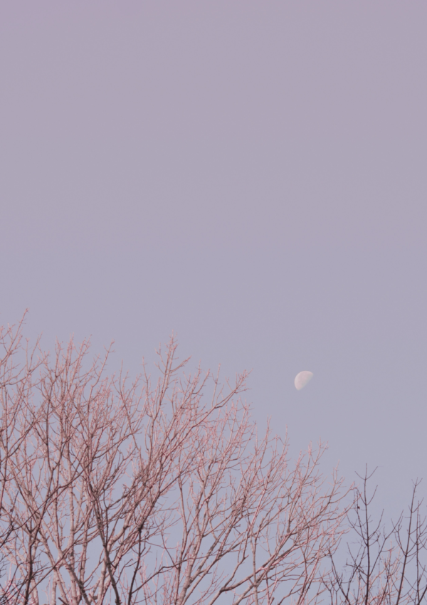 Manifestation Examples: Success Stories to Inspire You