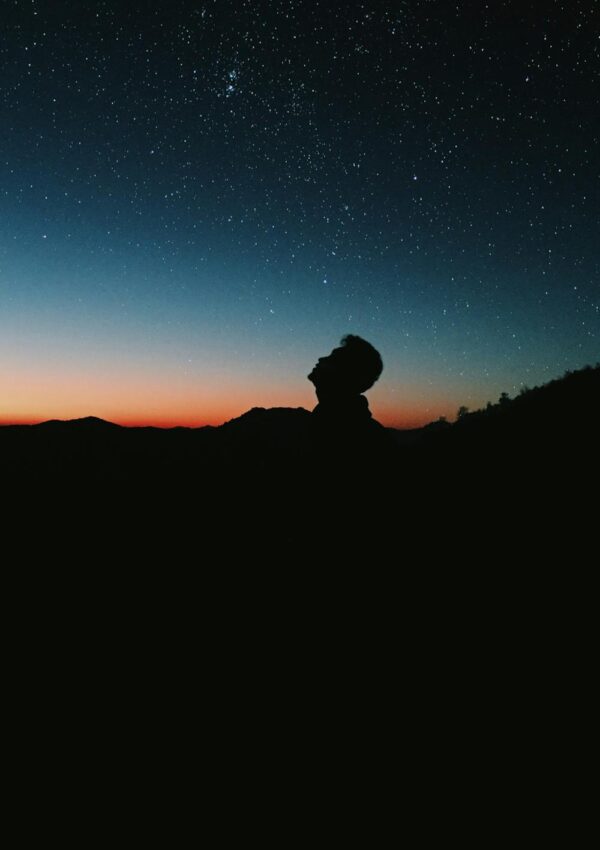 Law of Attraction and Manifestation: What Is the Difference?