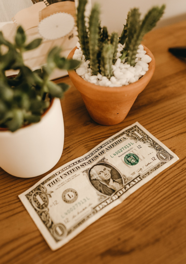 12 Ways of Money Manifestation to Unlock Your Financial Abundance