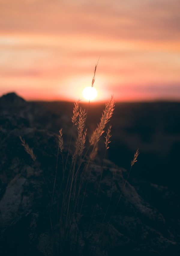 8 Visualization Techniques for Effective Manifestation