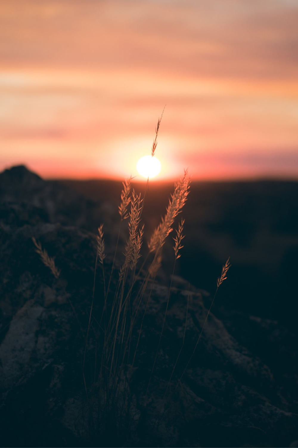 8 Visualization Techniques for Effective Manifestation