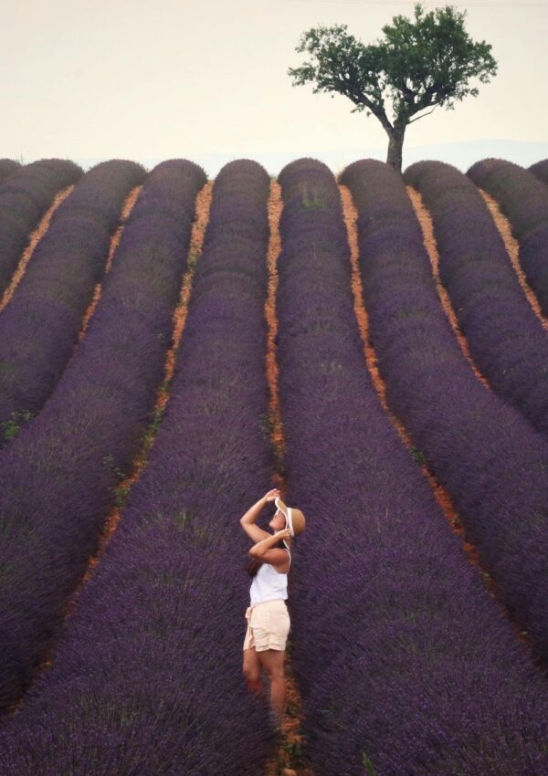 A Guide to Overcoming Your Doubt During Manifestation Journey