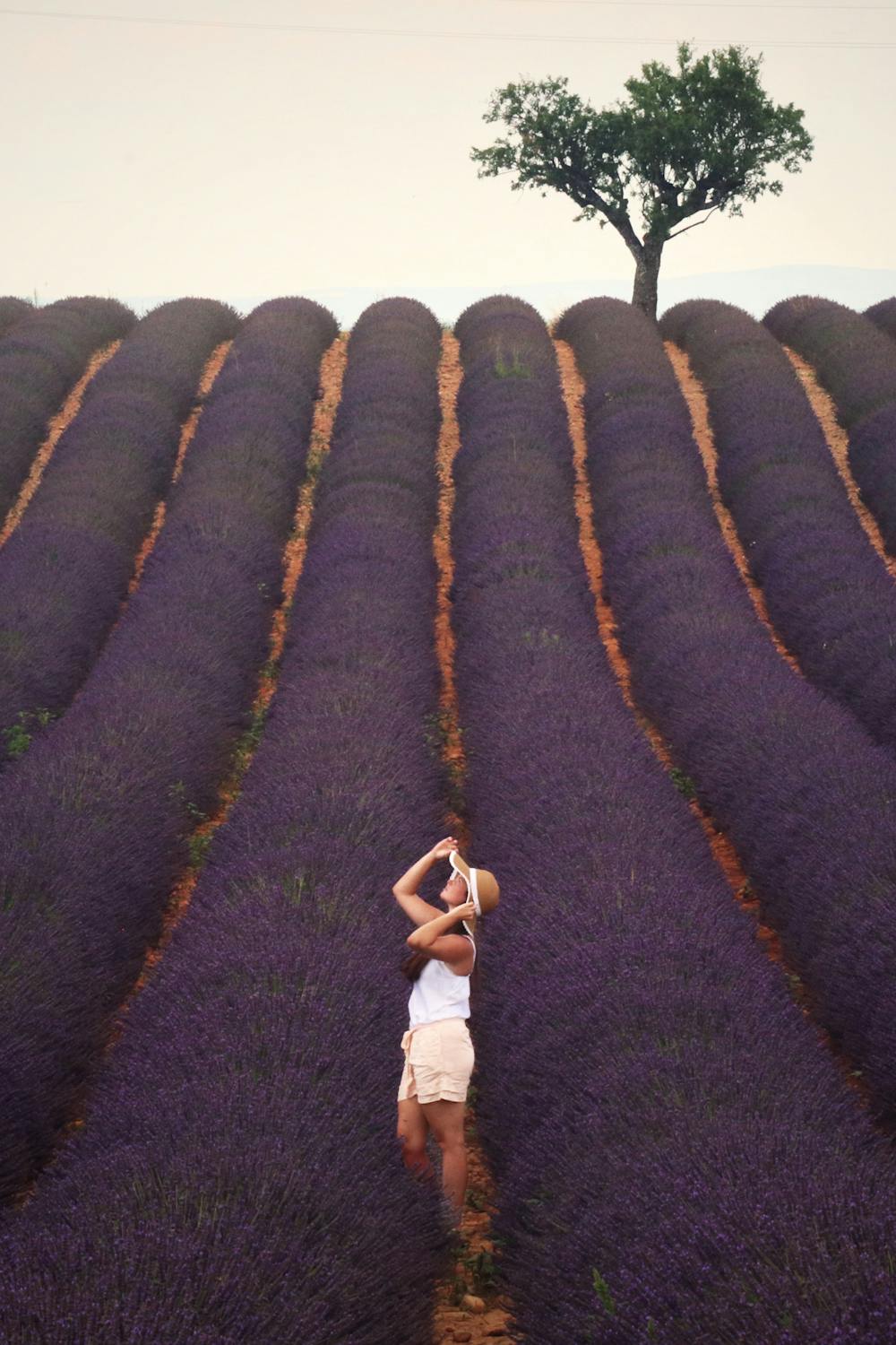 A Guide to Overcoming Your Doubt During Manifestation Journey