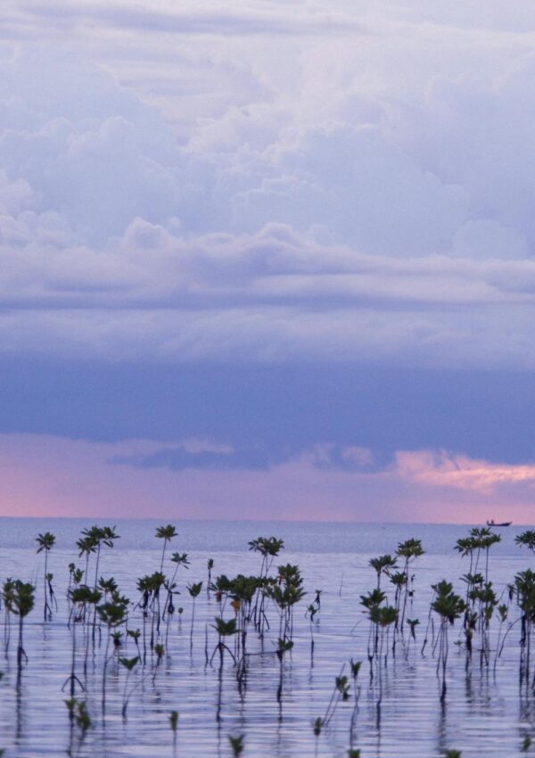 Why You Aren't Manifesting Your Desires: 9 Simple Reasons