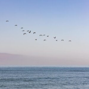 Manifesting Abundance: How to Cultivate a Wealth Mindset for Financial Freedom