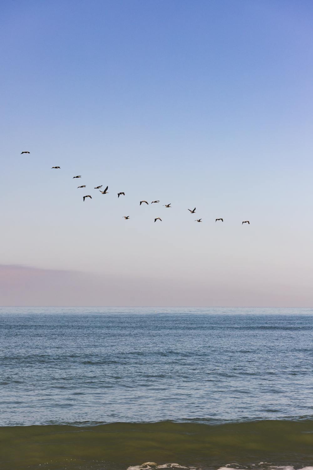 Manifesting Abundance: How to Cultivate a Wealth Mindset for Financial Freedom